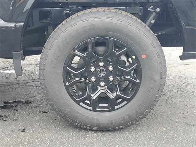 Photo of 2025 Black Metallic Ford F-150
