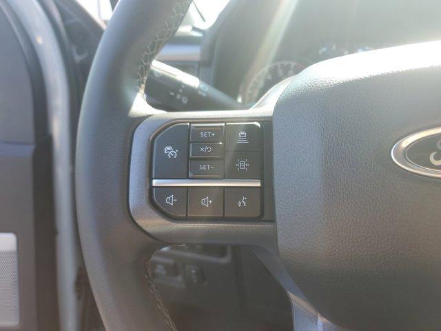 Photo of 2023 Avalanche Gray Ford F-150