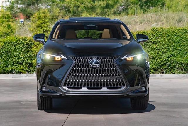 Photo of 2025 Caviar Lexus NX 350h