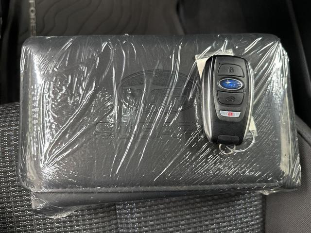 Photo of 2025 River Rock Pearl Subaru Forester