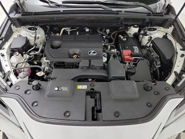 Photo of 2024 Eminent White Pearl Lexus NX 250