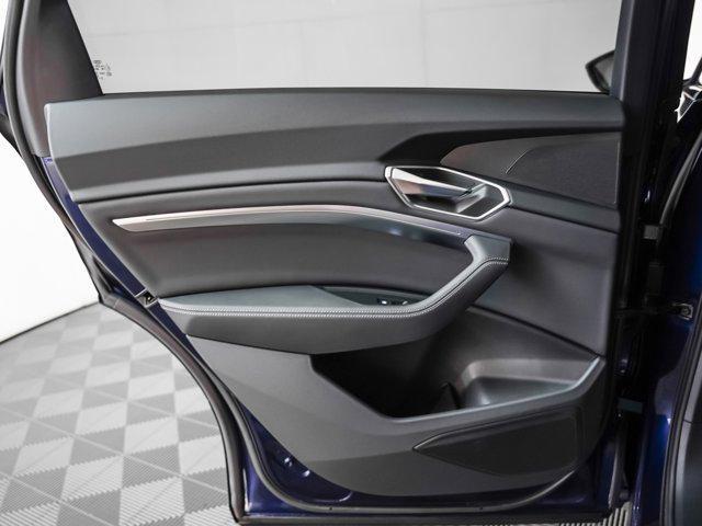 Photo of 2021 Navarra Blue Audi e-tron