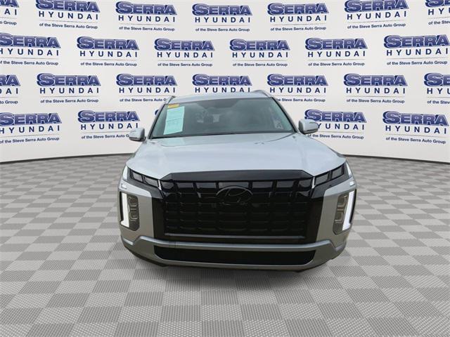 Photo of 2025 Typhoon Silver Hyundai PALISADE
