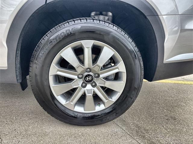 Photo of 2025 Typhoon Silver Hyundai PALISADE