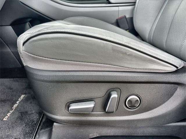 Photo of 2025 Typhoon Silver Hyundai PALISADE