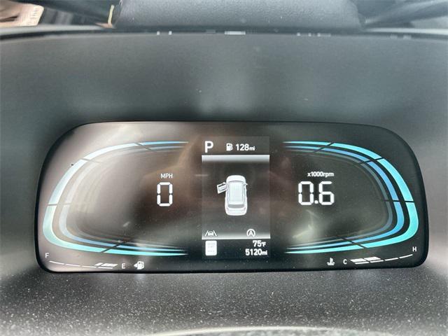 Photo of 2025 Typhoon Silver Hyundai PALISADE