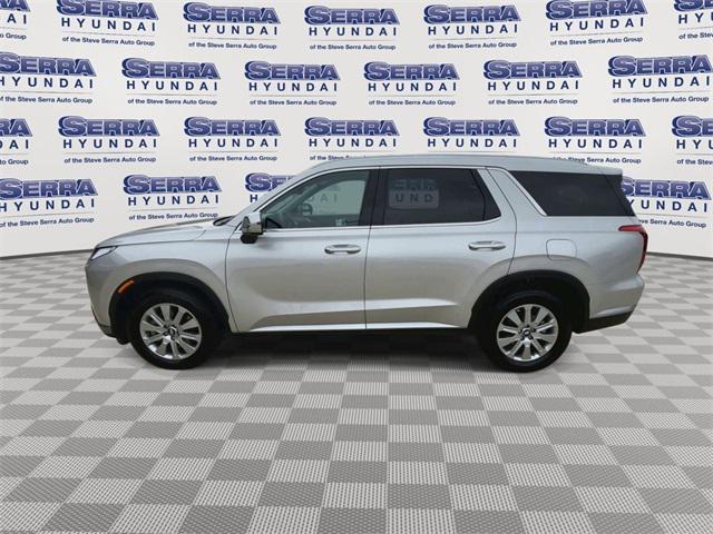 Photo of 2025 Typhoon Silver Hyundai PALISADE