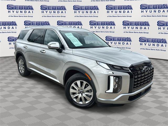 Photo of 2025 Typhoon Silver Hyundai PALISADE