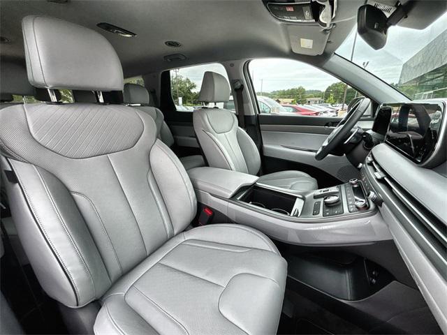 Photo of 2025 Typhoon Silver Hyundai PALISADE