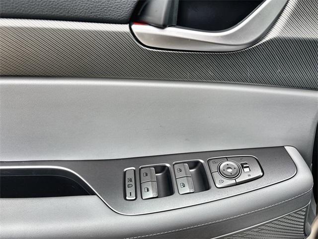 Photo of 2025 Typhoon Silver Hyundai PALISADE