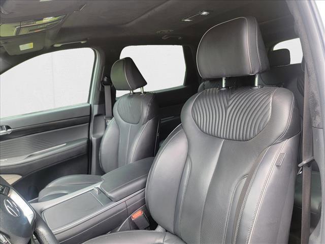 Photo of 2024 Typhoon Silver Hyundai PALISADE