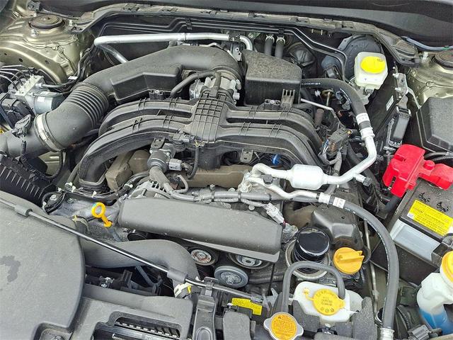 Photo of 2025 Autumn Subaru Forester