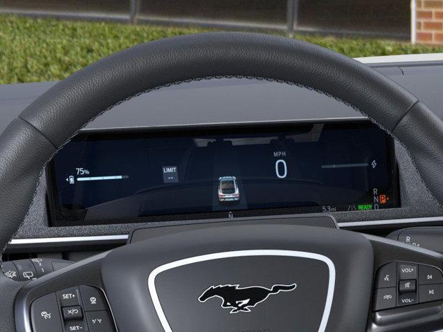 Photo of 2025 Shadow Black Ford Mustang Mach-E