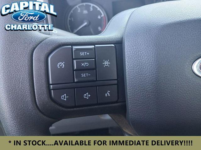 Photo of 2024 OXFORD WHITE Ford F-450