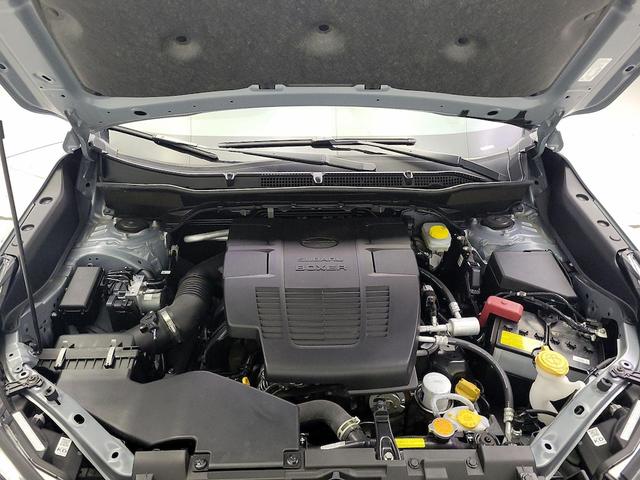 Photo of 2023 Silver Subaru Forester