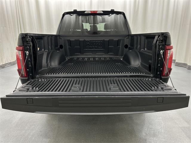 Photo of 2024 Black Metallic Ford F-150