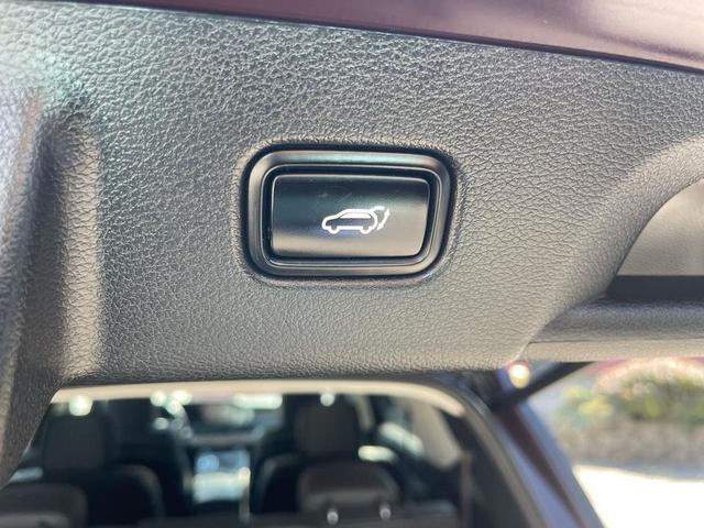 Photo of 2020 Plum Hyundai PALISADE