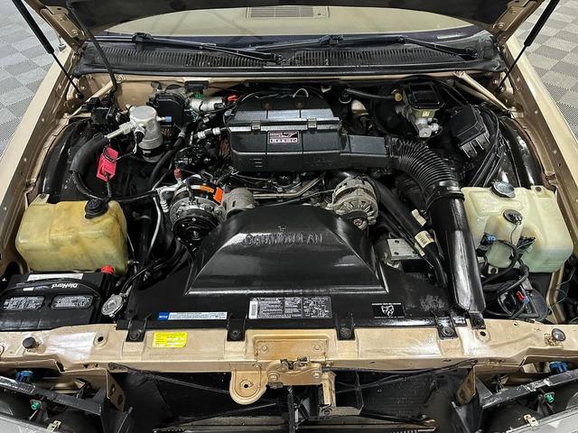 Photo of 1993 Beige Buick Roadmaster