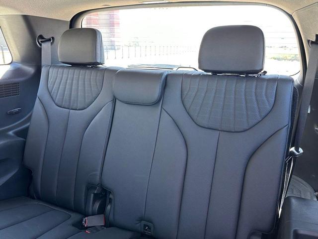 Photo of 2023 Typhoon Silver Hyundai PALISADE