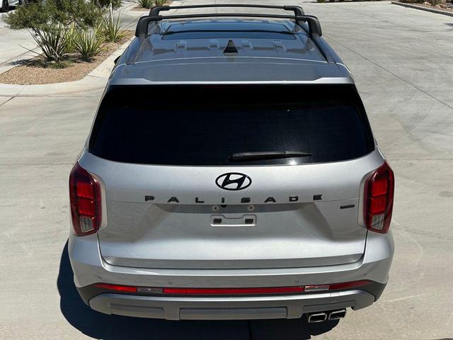 Photo of 2023 Typhoon Silver Hyundai PALISADE