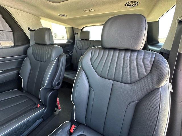Photo of 2023 Typhoon Silver Hyundai PALISADE