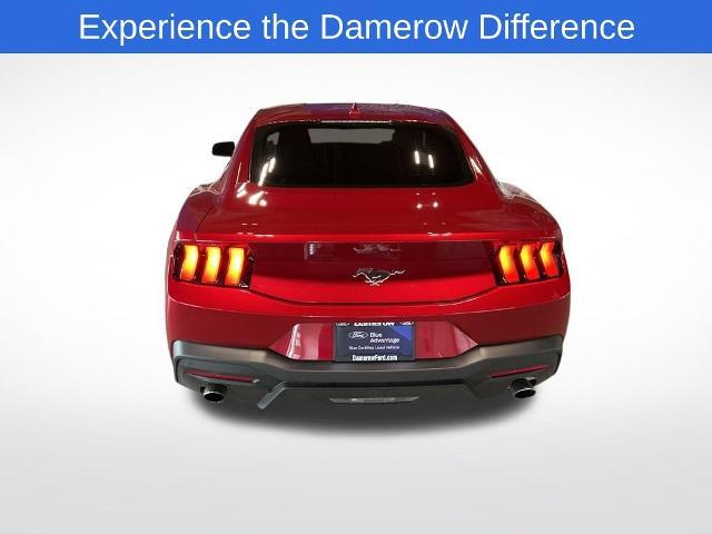 Photo of 2024 RAPID RED MET TINTED CC Ford Mustang