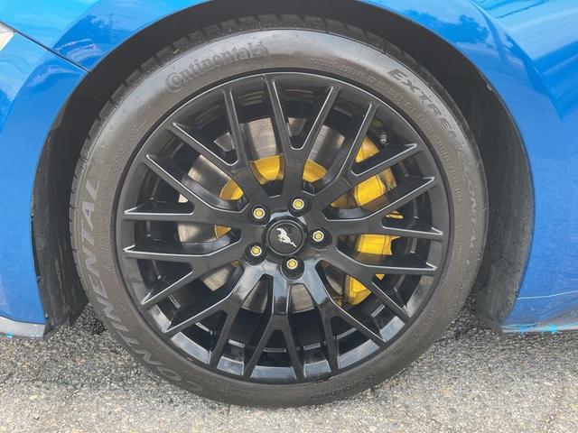 Photo of 2019 Blue Ford Mustang