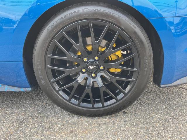 Photo of 2019 Blue Ford Mustang