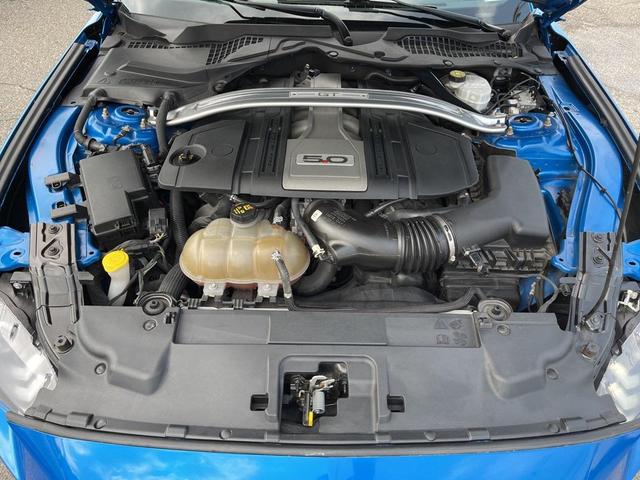 Photo of 2019 Blue Ford Mustang