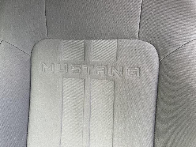 Photo of 2019 Blue Ford Mustang