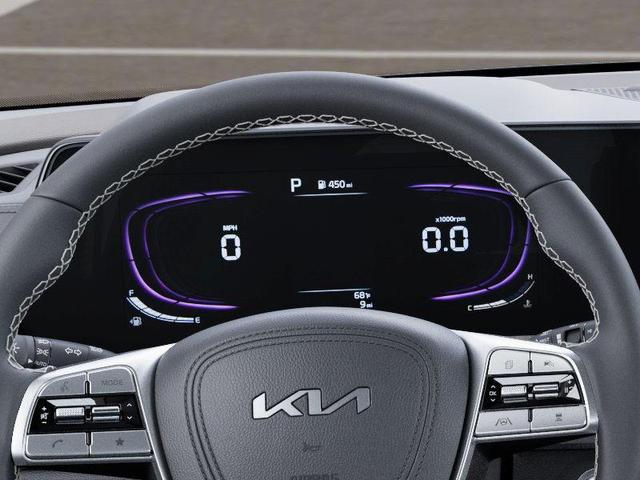 Photo of 2025 Panthera Metal Kia Telluride