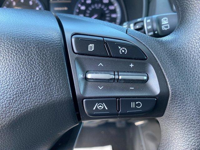 Photo of 2022 Cactus Fern Hyundai KONA