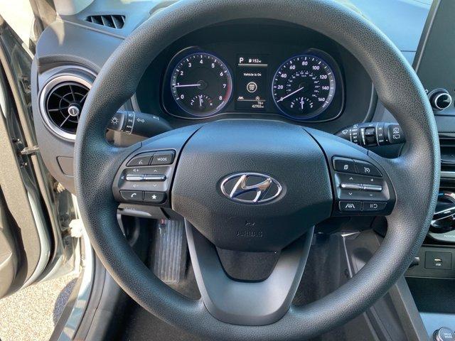 Photo of 2022 Cactus Fern Hyundai KONA