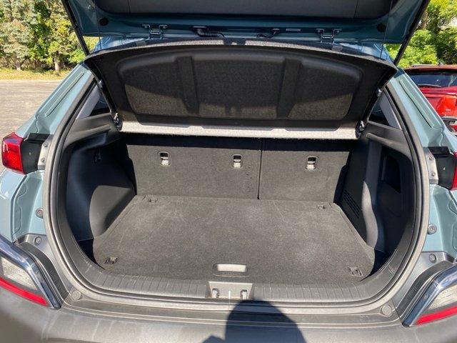 Photo of 2022 Cactus Fern Hyundai KONA