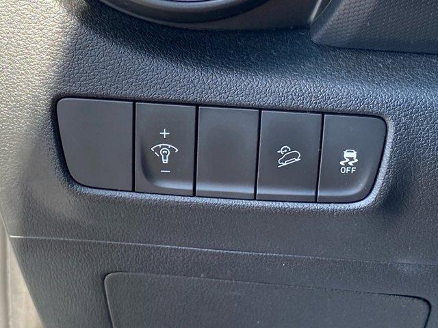 Photo of 2022 Cactus Fern Hyundai KONA