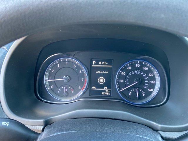 Photo of 2022 Cactus Fern Hyundai KONA