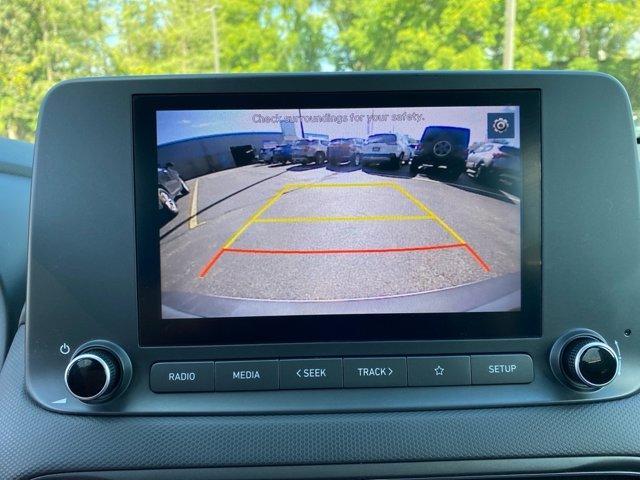 Photo of 2022 Cactus Fern Hyundai KONA