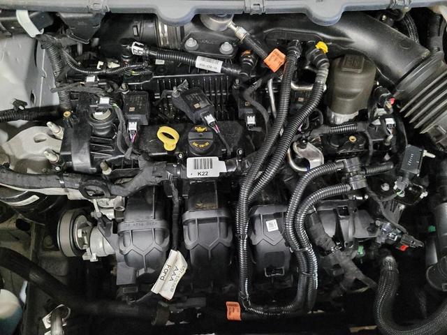 Photo of 2023 White Ford Edge