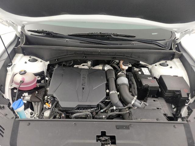 Photo of 2021 White Kia Sorento