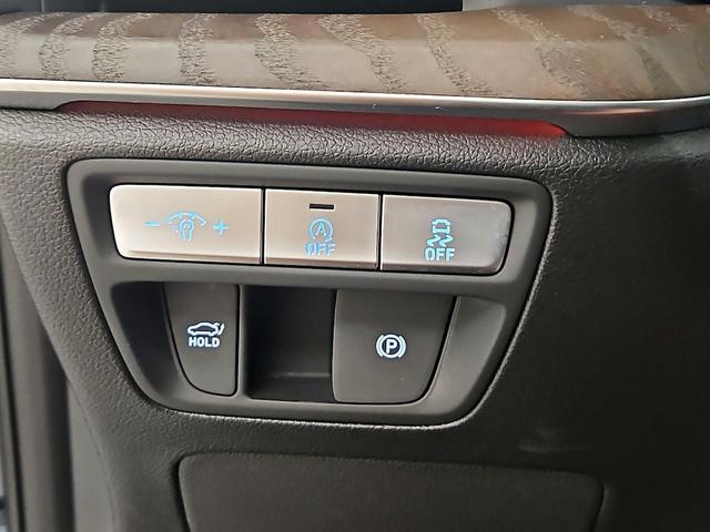 Photo of 2022 Blue Genesis G80