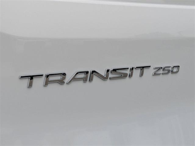 Photo of 2025 Oxford White Ford Transit-250