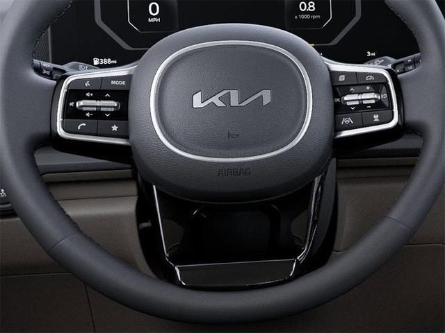 Photo of 2026 Panthera Metal Kia Carnival