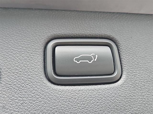 Photo of 2021 Black Cherry Kia Sportage