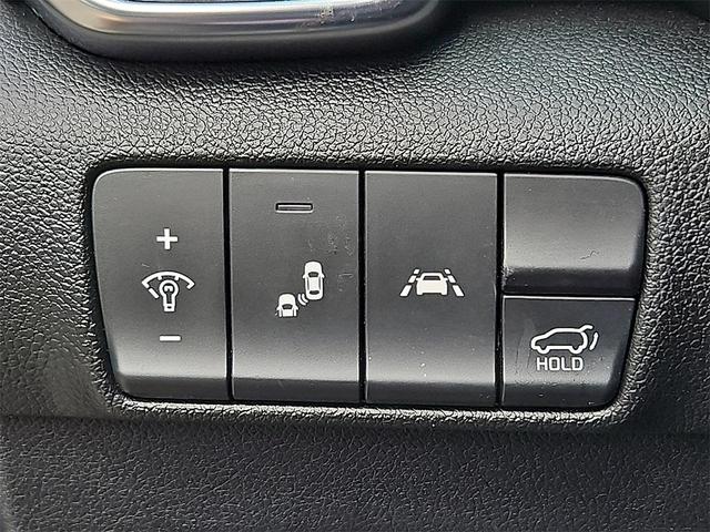 Photo of 2021 Black Cherry Kia Sportage