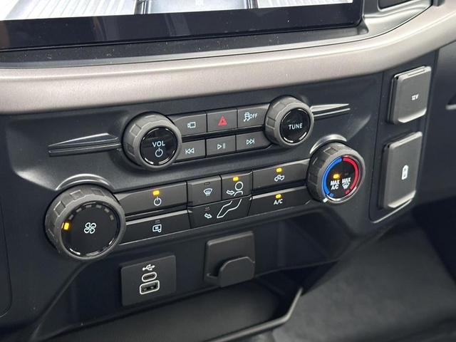 Photo of 2025 Gray Metallic Ford F-150