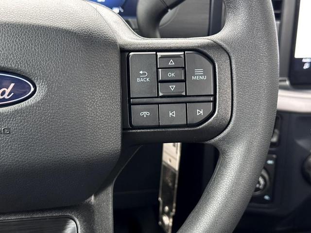 Photo of 2025 Gray Metallic Ford F-150