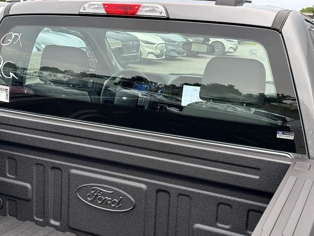 Photo of 2025 Gray Metallic Ford F-150