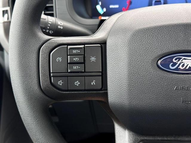 Photo of 2025 Gray Metallic Ford F-150