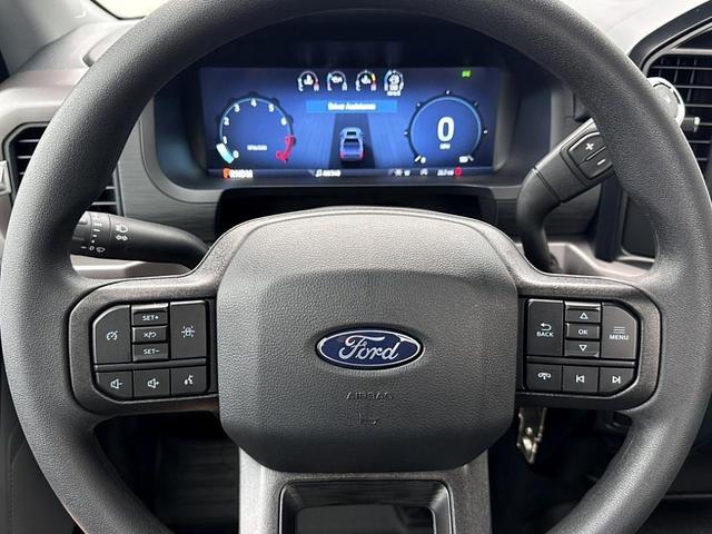 Photo of 2025 Gray Metallic Ford F-150