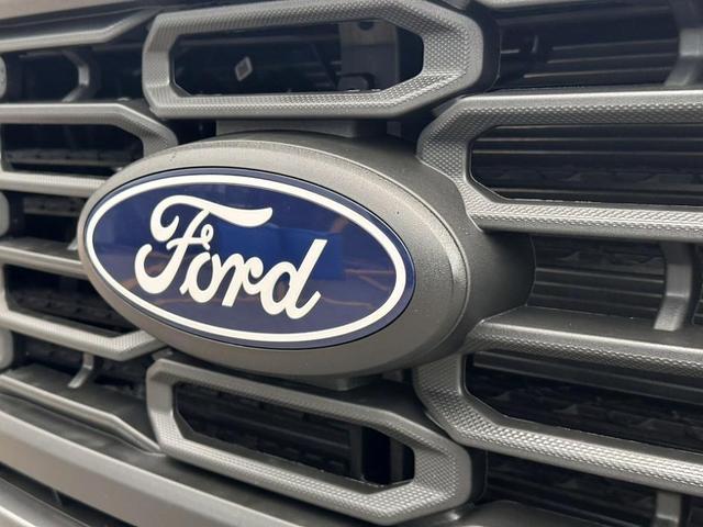 Photo of 2025 Gray Metallic Ford F-150